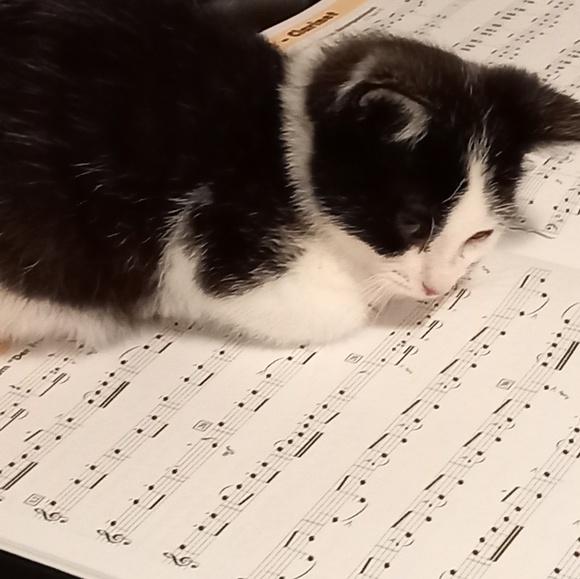 Meet the Posher Other - Meet your Posher, Razan